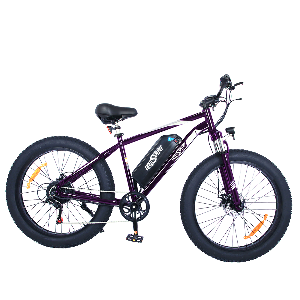 ONESPORT EBIKE OT15