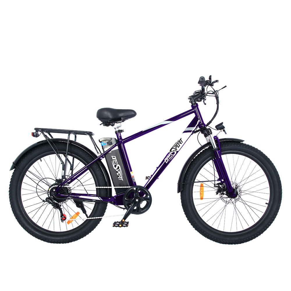 ONESPORT EBIKE OT13