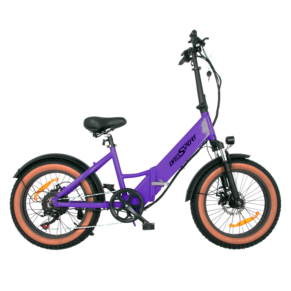 ONESPORT EBIKE CT29
