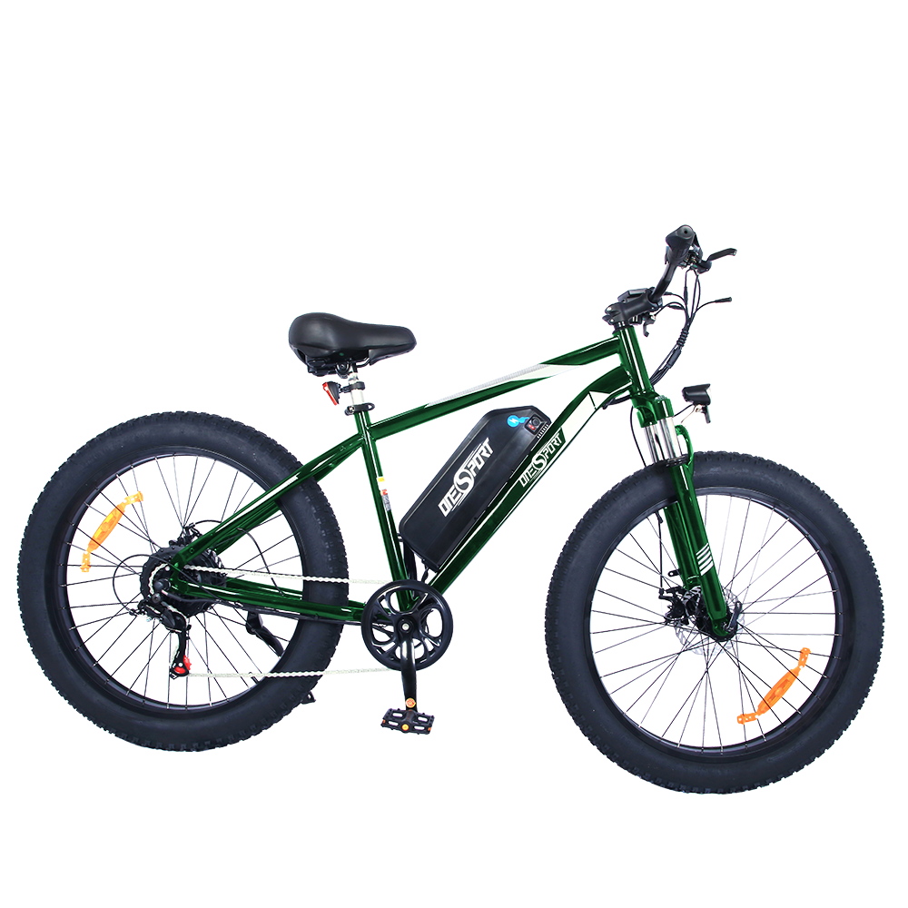 ONESPORT EBIKE OT15