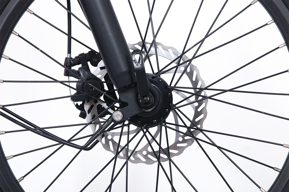 ONESPORT CARGO Ebike