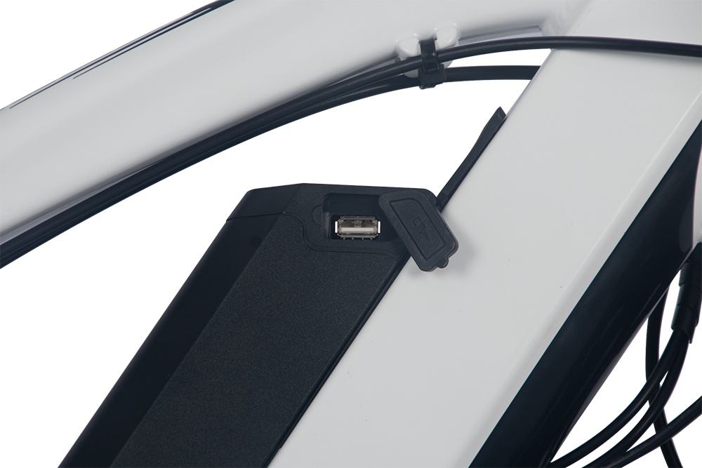 ONESPORT EBIKE ONES1