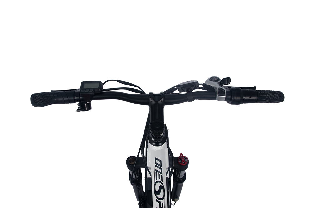 ONESPORT EBIKE ONES1